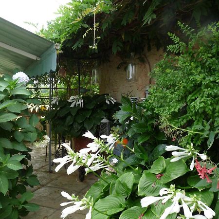 Bed and Breakfast Le Pouy Termes-d'Armagnac Екстер'єр фото