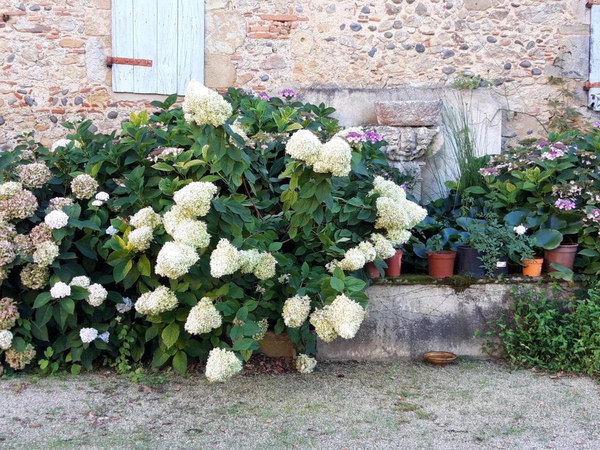Bed and Breakfast Le Pouy Termes-d'Armagnac Екстер'єр фото